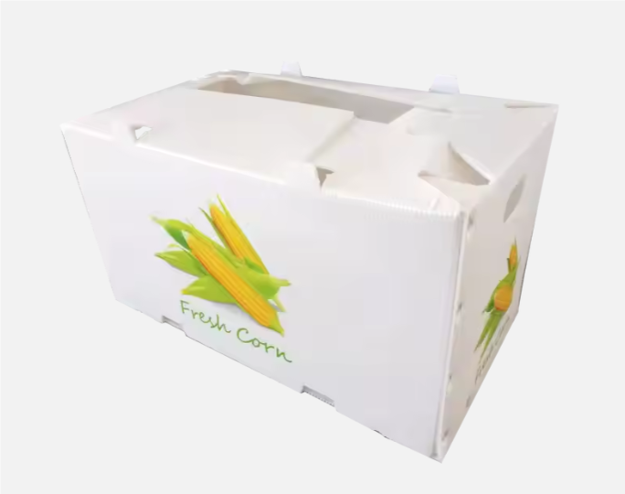 Mejor caja de empaque para frutas y maíz de China